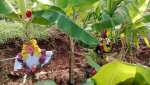 ರೈತರ ಬದುಕಿನಲ್ಲಿ ಹಾಸುಹೊಕ್ಕಾಗಿರುವ ಭೂಮಿ ಹುಣ್ಣಿಮೆಯನ್ನು ಇಂದು ರೈತರು ತಮ್ಮ ತಮ್ಮ ಹೊಲಗಳಲ್ಲಿ ಸಂತಸ ಸಂಭ್ರಮಗಳಿಂದ ಆಚರಿಸಿದರು. ಇದೊಂದು ವಿಶಿಷ್ಟ ಸಂಪ್ರದಾಯದ ಹಬ್ಬವಾಗಿದ್ದು, ಭೂಮಿ ತಾಯಿಯೇ ರೈತಾಪಿ ಜನಗಳ ಜೀವನಾಡಿಯಾಗಿದೆ. ಭೂಮಿ ಹುಣ್ಣಿಮೆ ದಿನ ಭೂತಾಯಿಗೆ ಸೀಮಂತ ಮಾಡುವುದು ಒಂದು ವಿಶಿಷ್ಟ ಸಂಪ್ರದಾಯವಾಗಿದೆ. ತಮ್ಮ ತಮ್ಮ ಹೊಲಗಳಲ್ಲಿ ಭತ್ತದ ಬೆಳೆಗೋ, ಅಡಿಕೆ ಮರಕ್ಕೋ ಸೀರೆ ಉಡಿಸಿ ಉಡಿ ತುಂಬುವುದು ವಾಡಿಕೆಯಾಗಿದೆ. ಜೊತೆಗೆ ಬುತ್ತಿ, ಚಿತ್ರಾನ್ನ, ಕಡುಬು, ಕಜ್ಜಾಯ ಮಾಡಿ ಭೂದೇವಿಗೆ ಅರ್ಪಿಸಿ ಸಂಭ್ರಮಿಸುತ್ತಾರೆ. ಬಯಲುಸೀಮೆ ಮತ್ತು ಮಲೆನಾಡು ಎರಡೂ ಭಾಗಗಳಲ್ಲಿಯೂ ವಿಭಿನ್ನ ರೀತಿಯಲ್ಲಿ ರೈತರು ಭೂಮಿ ಹುಣ್ಣಿಮೆ ಆಚರಿಸುತ್ತಾರೆ. ಭೂಮಣ್ಣು ಬುಟ್ಟಿ ತಯಾರಿಸಿ ಅದಕ್ಕೆ ಕೆಮ್ಮಣ್ಣು ಮತ್ತು ಶೇಡಿಯ ಚಿತ್ತಾರ ಬಿಡಿಸಿ ಬುಟ್ಟಿಯಲ್ಲಿ ಪೂಜಾ ಸಾಮಗ್ರಿ ತುಂಬಿಕೊಂಡು ತಮ್ಮ ಹೊಲಗಳಿಗೆ ಹೋಗಿ ವಿಶೇಷವಾಗಿ ಪೂಜೆ ಮಾಡುತ್ತಾರೆ. ನಂತರ ಚರಗವನ್ನು ತಮ್ಮ ಹೊಲದ ಸುತ್ತ ಬೀರುತ್ತಾರೆ. ಮನೆಯವರೆಲ್ಲರೂ ಸಂತಸ ಸಂಭ್ರಮಗಳಿಂದ ಒಟ್ಟಾಗಿ ತೋಟದಲ್ಲೆ ಊಟ ಮಾಡುವ ದೃಶ್ಯ ಕೂಡ ಸುಂದರವಾಗಿರುತ್ತದೆ. ಒಟ್ಟಾರೆ ಭೂಮಿಯನ್ನೆ ನಂಬಿರುವ ನಮ್ಮ ರೈತರು ಇದನ್ನು ಆರಾಧನೆಯಂತೆ ಮಾಡುತ್ತಾರೆ. ನೀರಾವರಿ ಪ್ರದೇಶದಲ್ಲಿ ರೈತರು ಒಂದಿಷ್ಟು ಸಮಾಧಾನವಾಗಿದ್ದರೆ ಬಯಲುಸೀಮೆಯಲ್ಲಿ ಮಾತ್ರ ರೈತರ ಗೋಳು ತಪ್ಪಿಲ್ಲ. ಬರಗಾಲ ಕಾಲಿಟ್ಟಿದ್ದು ಬೆಳೆಯೆಲ್ಲಾ ನಾಶವಾಗಿದೆ.