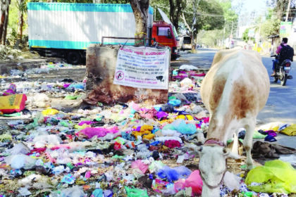 ಕಸಕ್ಕೆ ಆಲೂರು ಪಂಚಾಯ್ತಿ ನೀಡುತ್ತಿಲ್ವಾ ಮುಕ್ತಿ..?