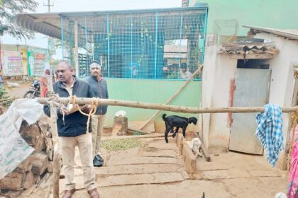 ಮೇಕೆಗಳ ಕಳ್ಳತನದಿಂದ ರೈತರಲ್ಲಿ ಮೂಡಿದ ಆತಂಕ