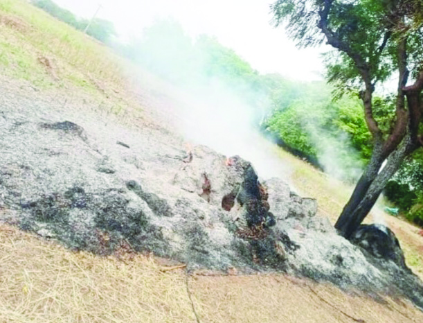 ಕಿಡಿಗೇಡಿಗಳಿಂದ ರೈತನ ಹುಲ್ಲಿನ ಬಣವೆಗೆ ಬೆಂಕಿ: ಪ್ರಕರಣ ದಾಖಲು