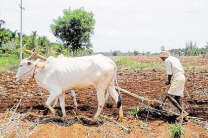 5 ದಿನ ಮಳೆ ಬರುವ ಸಾಧ್ಯತೆ: ರೈತರಿಗೆ ಮುನ್ಸೂಚನೆ