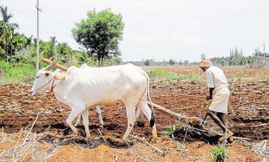 5 ದಿನ ಮಳೆ ಬರುವ ಸಾಧ್ಯತೆ: ರೈತರಿಗೆ ಮುನ್ಸೂಚನೆ