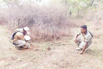 ಮುಂದುವರಿದ ಆನೆ ಗಣತಿ