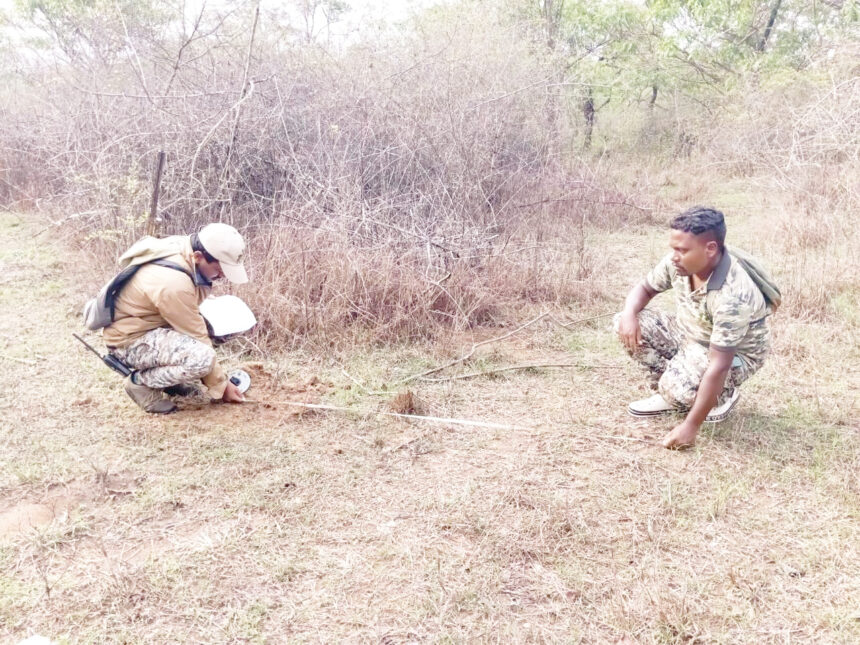 ಮುಂದುವರಿದ ಆನೆ ಗಣತಿ