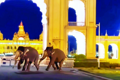 ದಸರಾ ಗಜಗಳ ಗಲಾಟೆ