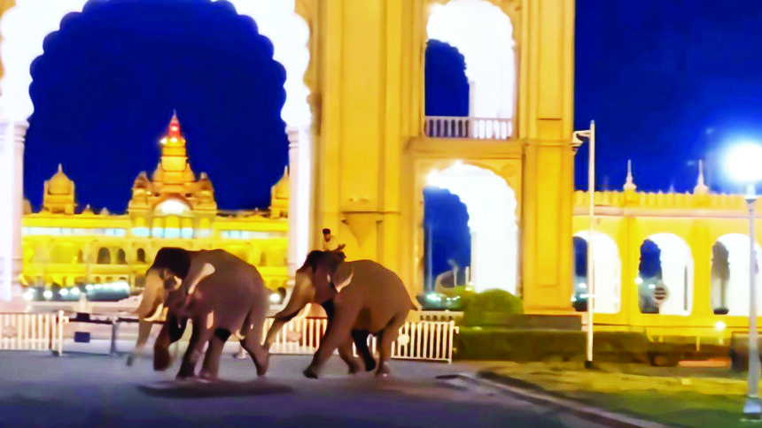 ದಸರಾ ಗಜಗಳ ಗಲಾಟೆ