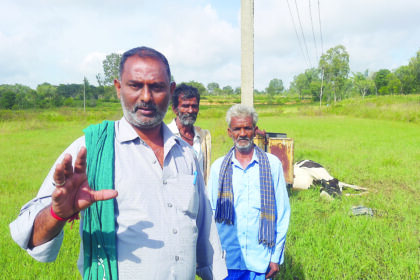 ವಿದ್ಯುತ್ ಸ್ಪರ್ಶದಿಂದ ಹಸು ಸಾವು