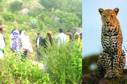 ಮೇವು ತರಲು ಹೋದ ಮಹಿಳೆ ಚಿರತೆಗೆ ಬಲಿ