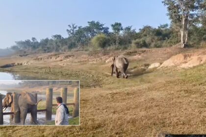 ತಡೆಗೋಡೆಗೆ ಸಿಲುಕಿ ಒದ್ದಾಡಿದ ಆನೆ, ಗ್ರಾಮಸ್ಥರ ನೆರವಿನಿಂದ ರಕ್ಷಣೆ