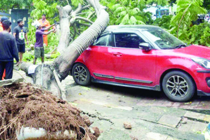 ಮೊಂಥಾ ಆರ್ಭಟ ಆಂಧ್ರಪ್ರದೇಶ ಮತ್ತು ಒಡಿಶಾದ ಕರಾವಳಿಯಲ್ಲಿ ಭಾರೀ ಮಳೆ ಮನೆಯ ಮೇಲೆ ಮರ ಬಿದ್ದು ವೃದ್ಧೆ ಸಾವು