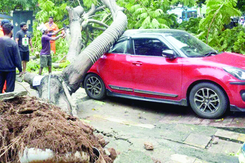 ಮೊಂಥಾ ಆರ್ಭಟ ಆಂಧ್ರಪ್ರದೇಶ ಮತ್ತು ಒಡಿಶಾದ ಕರಾವಳಿಯಲ್ಲಿ ಭಾರೀ ಮಳೆ ಮನೆಯ ಮೇಲೆ ಮರ ಬಿದ್ದು ವೃದ್ಧೆ ಸಾವು ಮೊಂಥಾ ಆರ್ಭಟ ಆಂಧ್ರಪ್ರದೇಶ ಮತ್ತು ಒಡಿಶಾದ ಕರಾವಳಿಯಲ್ಲಿ ಭಾರೀ ಮಳೆ ಮನೆಯ ಮೇಲೆ ಮರ ಬಿದ್ದು ವೃದ್ಧೆ ಸಾವು