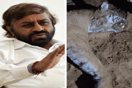 “ಮಲೆ ಮಹದೇಶ್ವರ ತಪ್ಪಲಿನಲ್ಲಿ ಹುಲಿಯ ಅರ್ಧ ದೇಹ ಪತ್ತೆ ತನಿಖೆಗೆ ಆದೇಶ”