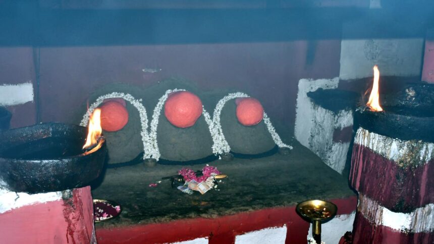 “ಹಾಸನಾಂಬೆ ದರ್ಶನ “