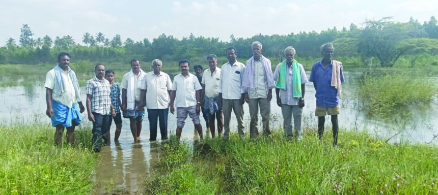 “ಮಳೆ ಮತ್ತು ಕೆರೆ ಕೋಡಿಗಳಿಂದ ನಷ್ಟವಾದ ಬೆಳೆ”