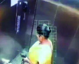 “ಸಾಕು ನಾಯಿ ಕೊಂದಿದ್ದ ಮಹಿಳೆ ಬಂಧನ”