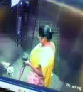 “ಸಾಕು ನಾಯಿ ಕೊಂದಿದ್ದ ಮಹಿಳೆ ಬಂಧನ”