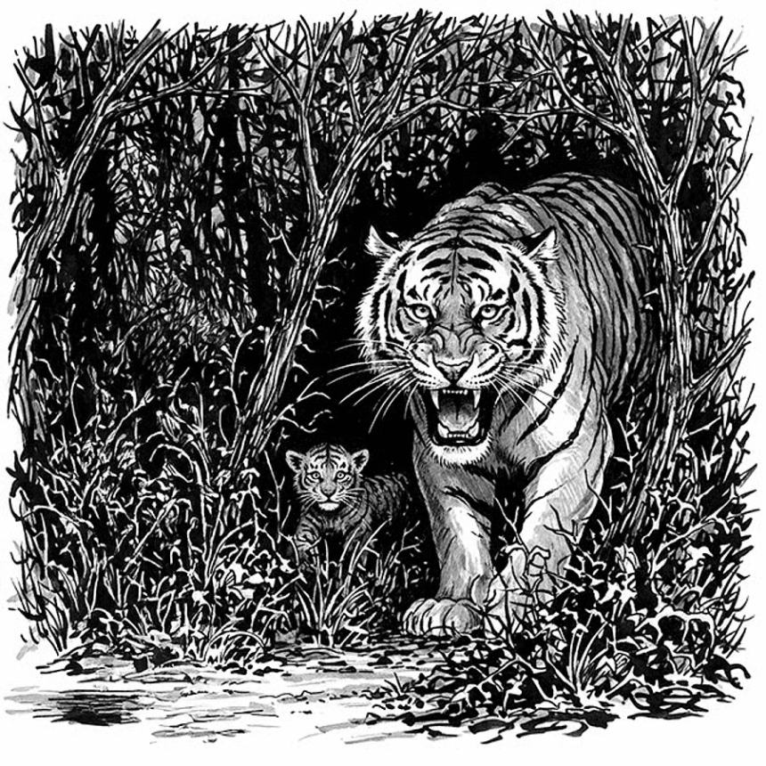 “ಹೆಣ್ಣುಹುಲಿ ಸೇರಿದಂತೆ ಮೂರು ಮರಿ ಹುಲಿಗಳ ಸೆರೆ”