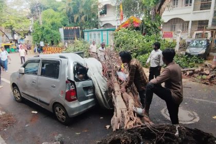 ಚಿಕ್ಕಪೇಟೆ ವಿಧಾನಸಭಾ ಕ್ಷೇತ್ರದ ಶಂಕರಪುರಂನಲ್ಲಿ ರಾತ್ರಿ ಸುರಿದ ಭಾರೀ ಮಳೆಗೆ ಇಂದು ಬೆಳಗ್ಗೆ ಮುಸುಕಿನ ಜಾವದಲ್ಲಿ ಕಾರಿನ ಮೇಲೆ ಮರ ಬಿದ್ದು ಕಾರು ಜಖಂ ಆಗಿರುವುದು…