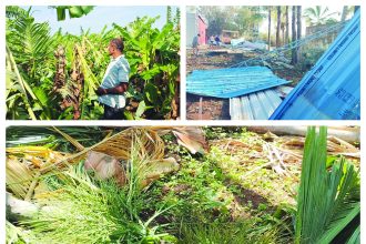 ಯುಗಾದಿಗೆ ಸ್ವಾಗತ ಕೋರಿದ ಮಳೆ: ಬಿರುಗಾಳಿ ಸಹಿತ ಮಳೆಗೆ ಉರುಳಿದ ಮರಗಳು, ವಿದ್ಯುತ್ ಕಂಬಗಳು