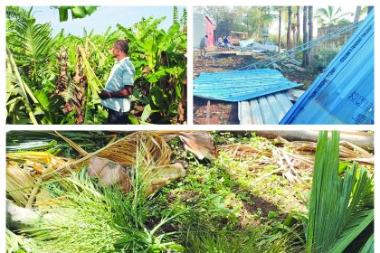 ಯುಗಾದಿಗೆ ಸ್ವಾಗತ ಕೋರಿದ ಮಳೆ: ಬಿರುಗಾಳಿ ಸಹಿತ ಮಳೆಗೆ ಉರುಳಿದ ಮರಗಳು, ವಿದ್ಯುತ್ ಕಂಬಗಳು