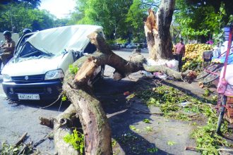 ಮಳೆ ಅವಾಂತರ: 170 ಮರಗಳು ಧರಾಶಾಹಿ, 68 ಕಡೆ ಜಲಾವೃತ