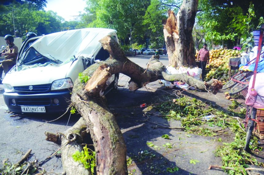 ಮಳೆ ಅವಾಂತರ: 170 ಮರಗಳು ಧರಾಶಾಹಿ, 68 ಕಡೆ ಜಲಾವೃತ