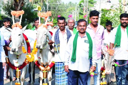 ಬಸವ ಜಯಂತಿ ಅಂಗವಾಗಿ ರಾಸುಗಳ ಮೆರವಣಿಗೆ