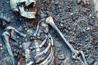 ಬೂದಗಟ್ಟಿ ಅರಣ್ಯ ಪ್ರದೇಶದಲ್ಲಿ  ಮಾನವನ ಅಸ್ತಿ ಪಂಜರ ಪತ್ತೆ