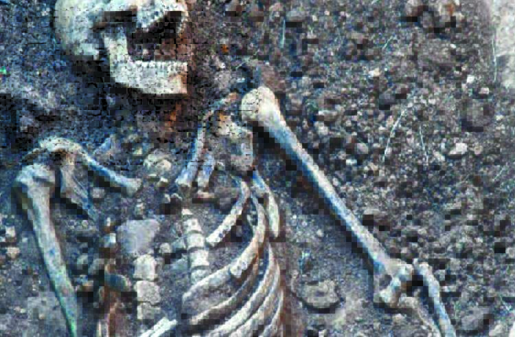 ಬೂದಗಟ್ಟಿ ಅರಣ್ಯ ಪ್ರದೇಶದಲ್ಲಿ  ಮಾನವನ ಅಸ್ತಿ ಪಂಜರ ಪತ್ತೆ